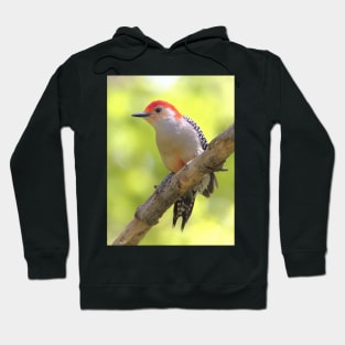 Red bellied woodpecker Hoodie